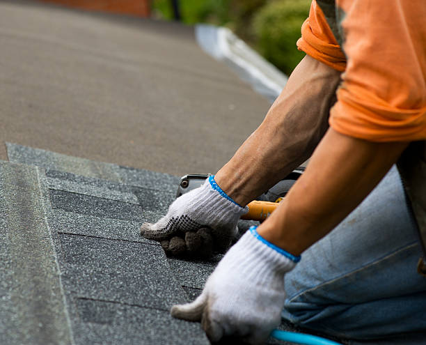Professional Roofing Contractor in Silver Bay, MN